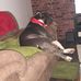 Profile Picture of John Cromer (@john.cromer.330) on Facebook