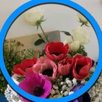 Profile Picture of Antonio Testino (@antonio.testino.58) on Facebook