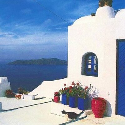 Simone O'Connor - Twitter Profile Picture of Simone O'Connor (@@spetrome) on Twitter