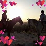 Profile Picture of Janet Ann O'boyle (@janet.a.oboyle) on Instagram