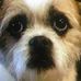 Profile Picture of Violet Hatch (@violet.hatch.79) on Facebook
