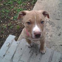 Profile Picture of Eric Lowery (@eric-lowery-4) on Quora