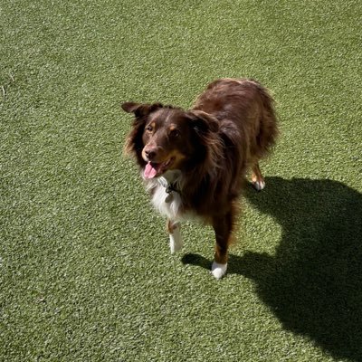 Profile Picture of Peter Neal (@pghn__) on Twitter