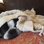 Profile Picture of Thea Matthews (@thea.matthews.10) on Instagram