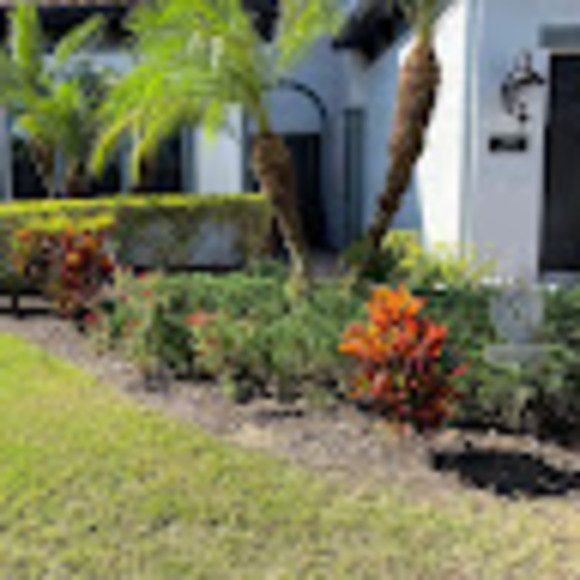 Andy A - Poshmark Profile Picture of Andy A (@andaraandy1989) on Poshmark