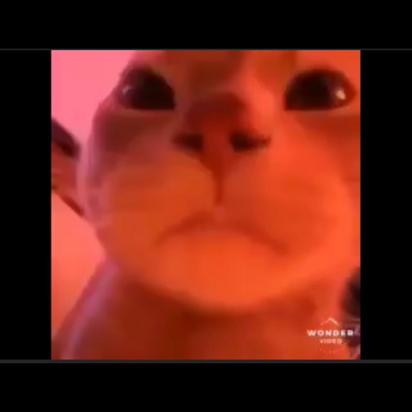 Profile Picture of Bryan Luna (@bryanxinc) on Poshmark