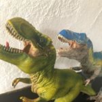 Michi Mizobuchi - Instagram Profile Picture of Michi Mizobuchi (@tepp.mam) on Instagram