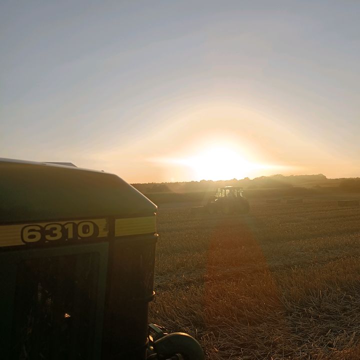 Profile Picture of joshua (@joshuanorden) on Tiktok