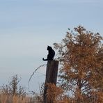 Profile Picture of Devin Winter (@devin.winter.79) on Facebook