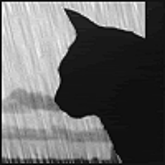 Profile Picture of Bob Willingham (@bobbywill15) on Twitter