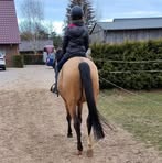 Profile Picture of Anne Marschall (@anne.marschall.5) on Facebook