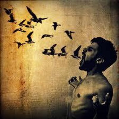 Profile Picture of Steve Galipeau (@SteveGalipeau) on Twitter