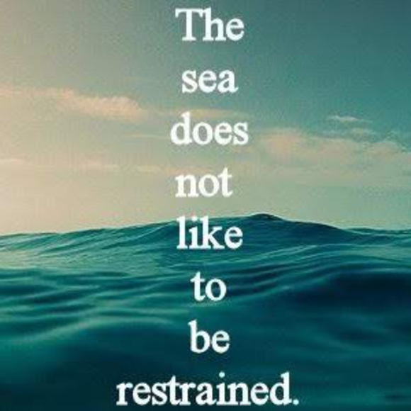 Profile Picture of Alyssa Schlieker (@alyssaschlieker) on Poshmark