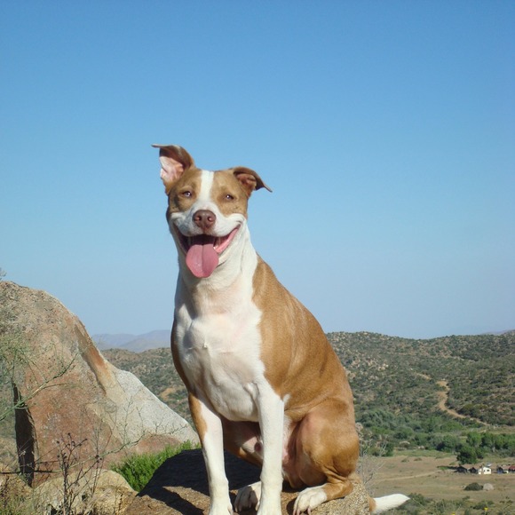 Profile Picture of Ray Wong (@ray_32) on Poshmark