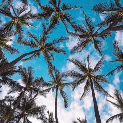Profile Picture of Austin Stout (@AustinRayStout) on Twitter
