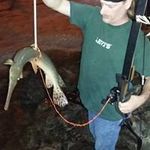 Profile Picture of Tommy Livingston (@tlokoutdoorsman) on Instagram