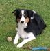Profile Picture of Iris Mango (@mireille.sauvageot.52) on Facebook