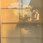 Tobias Balcombe Ehrlich - Instagram Profile Picture of Tobias Balcombe Ehrlich (@tobiasbalcombeehrlich) on Instagram