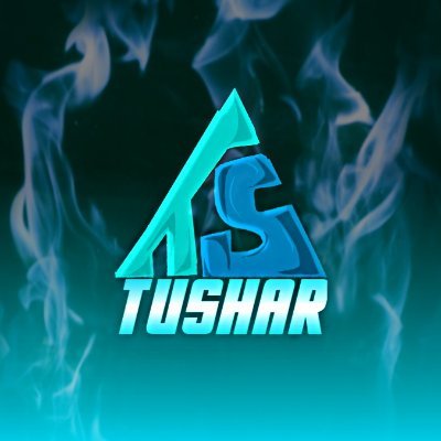 Profile Picture of Tushar Sharangpani (@TSharangpani) on Twitter