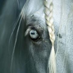 Profile Picture of Jillian Duffy (@duff2256) on Twitter
