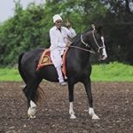 Profile Picture of horse_lovers_99 (@horse_lovers_99) on Instagram