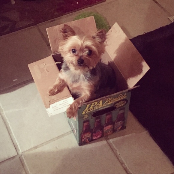 Profile Picture of Robyn Brozena (@robynlauren) on Poshmark