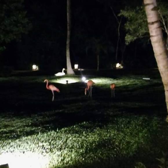 Profile Picture of April Kientzy (@akientzy69) on Poshmark