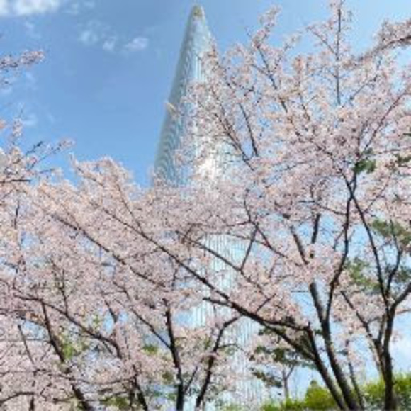 Profile Picture of Kimberly Lisboa (@kimberly_lisboa) on Poshmark