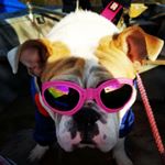 Profile Picture of Victoria Gotti (@victoria_gotti_and_friends) on Instagram