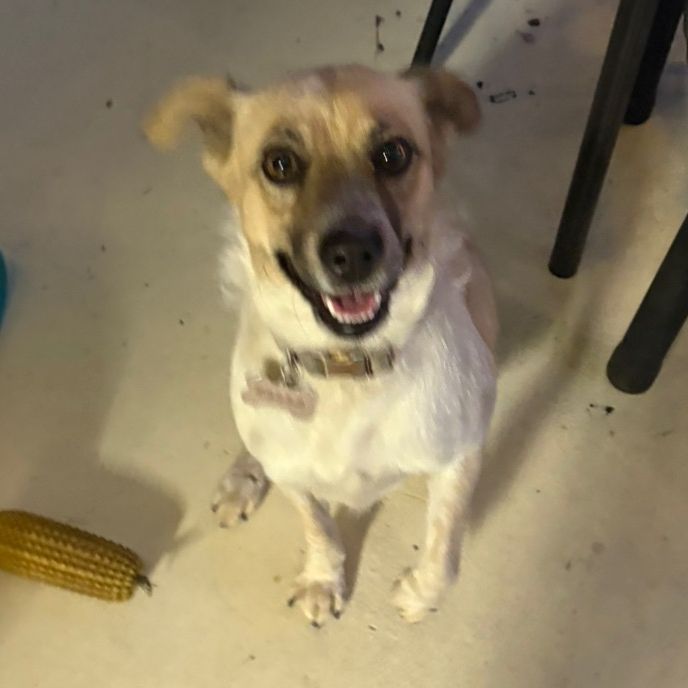 Profile Picture of josh.cuh (@josh.cuh12) on Tiktok