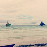 Profile Picture of Fiona Feng (@fiona_feng) on Instagram