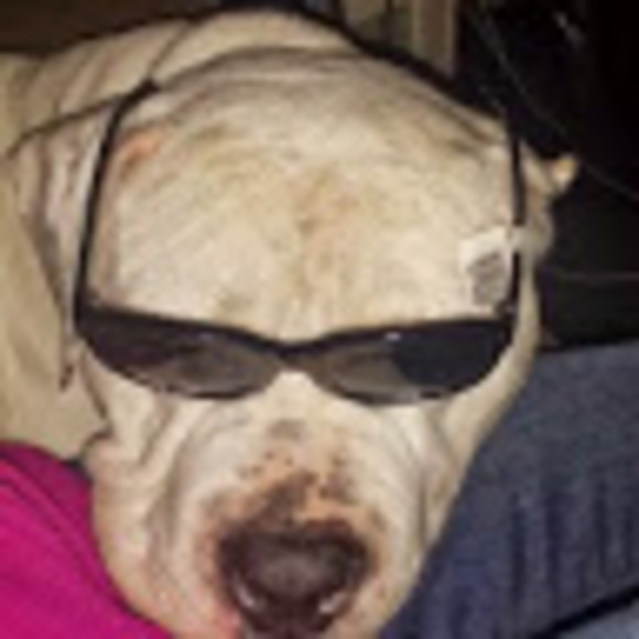 Profile Picture of Thomas Roos (@thomasroos) on Poshmark