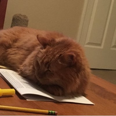 Profile Picture of Joshua Choate (@JoshuaChoate9) on Twitter