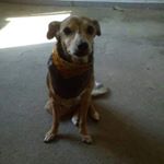 Cindy Becker - Instagram Profile Picture of Cindy Becker (@cindy.becker.9634) on Instagram