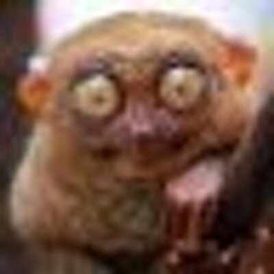 Profile Picture of Andrew Darlington (@olrad) on Twitter