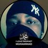Profile Picture of David Mohammed (@davidmoham15) on Tiktok