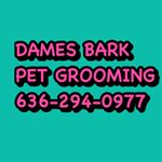 Profile Picture of Jaime Johnston Brewer (@dames_bark_grooming) on Instagram