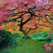 Profile Picture of Calvin Wesley 45 (@calvinwesley4535) on Youtube