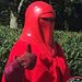 Profile Picture of Mark Naber (@mnaber7983) on Pinterest