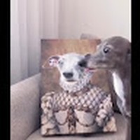 Profile Picture of Nathan Derr (@nathan-derr-4) on Quora
