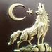 Profile Picture of Nora Turkmen Ogle (@nora.turkmenogle) on Facebook