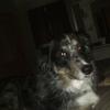 Profile Picture of airon (@@aaron._.boss) on Tiktok