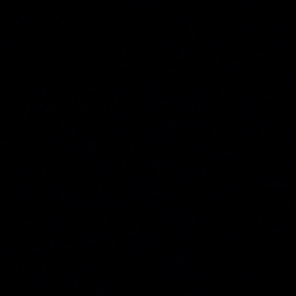 Profile Picture of Rachel Pirich (@mrspirich22) on Poshmark