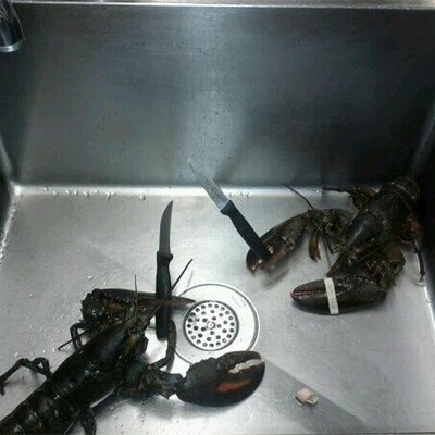 Profile Picture of Patrick Ingraham (@Ice_Cold_Pat) on Twitter