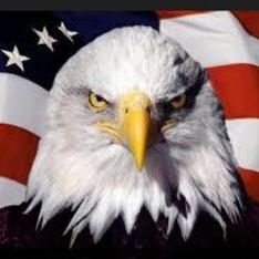 Profile Picture of Kevin Barto (@Barto123Barto) on Twitter