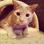 Profile Picture of Garrett Nilda (@tillmae.bealr) on Instagram