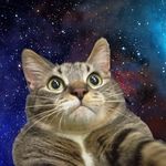 Profile Picture of James Berman (@jamie_berman4404) on Instagram