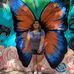 Profile Picture of Lisa Tomas (@lisa.tomas.1217) on Facebook
