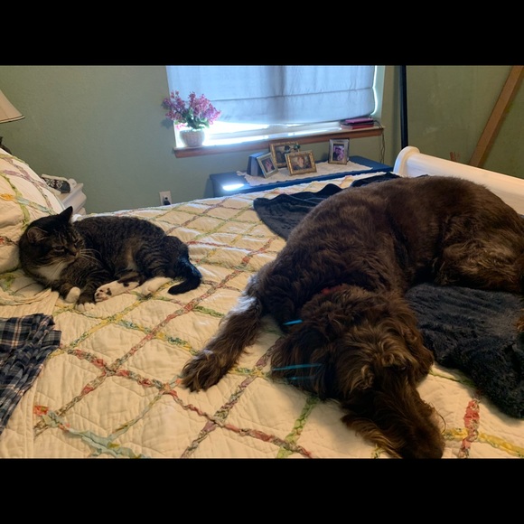 Profile Picture of Rosemarie Recob (@recob8) on Poshmark