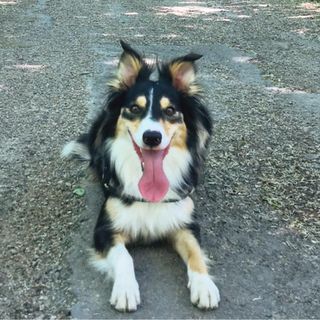 Profile Picture of Maya Hermès Sabatier (@maya.hermessabatier) on Facebook